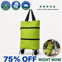 RollEase™ Foldable Rolling Tote